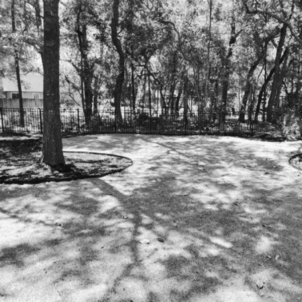 tree greenery landscape house exterior baker fl 1